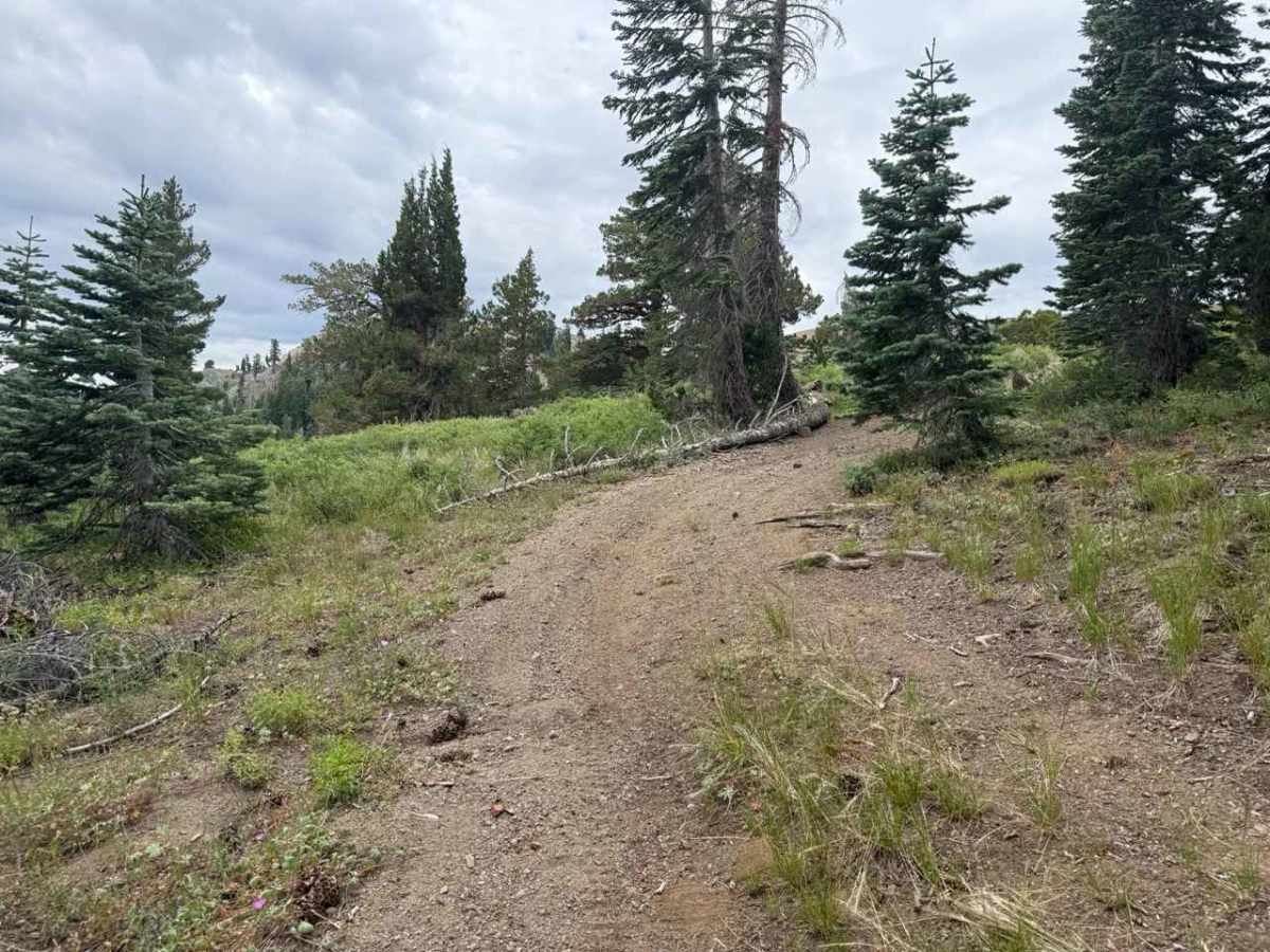 Lower Charity Spur A - FS 31206A photo 4