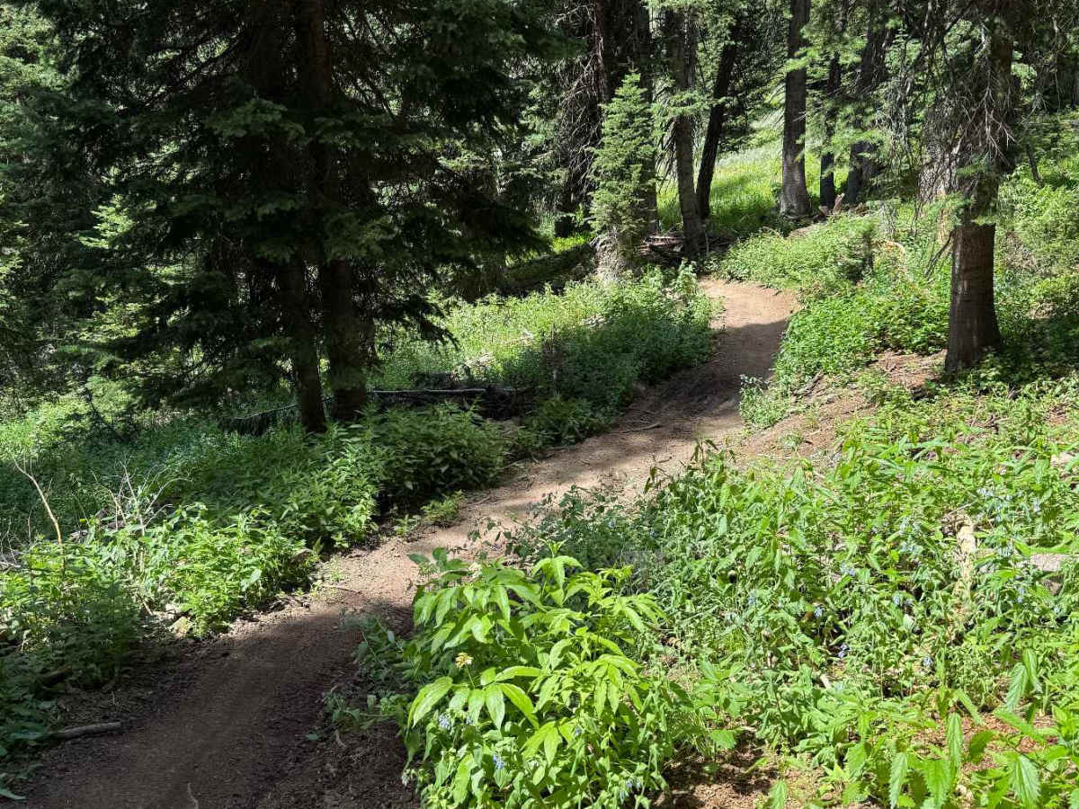 Garnes Mountain photo 5