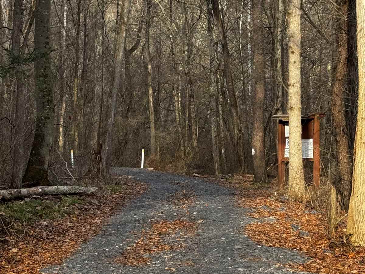 Baker Run Road photo 2