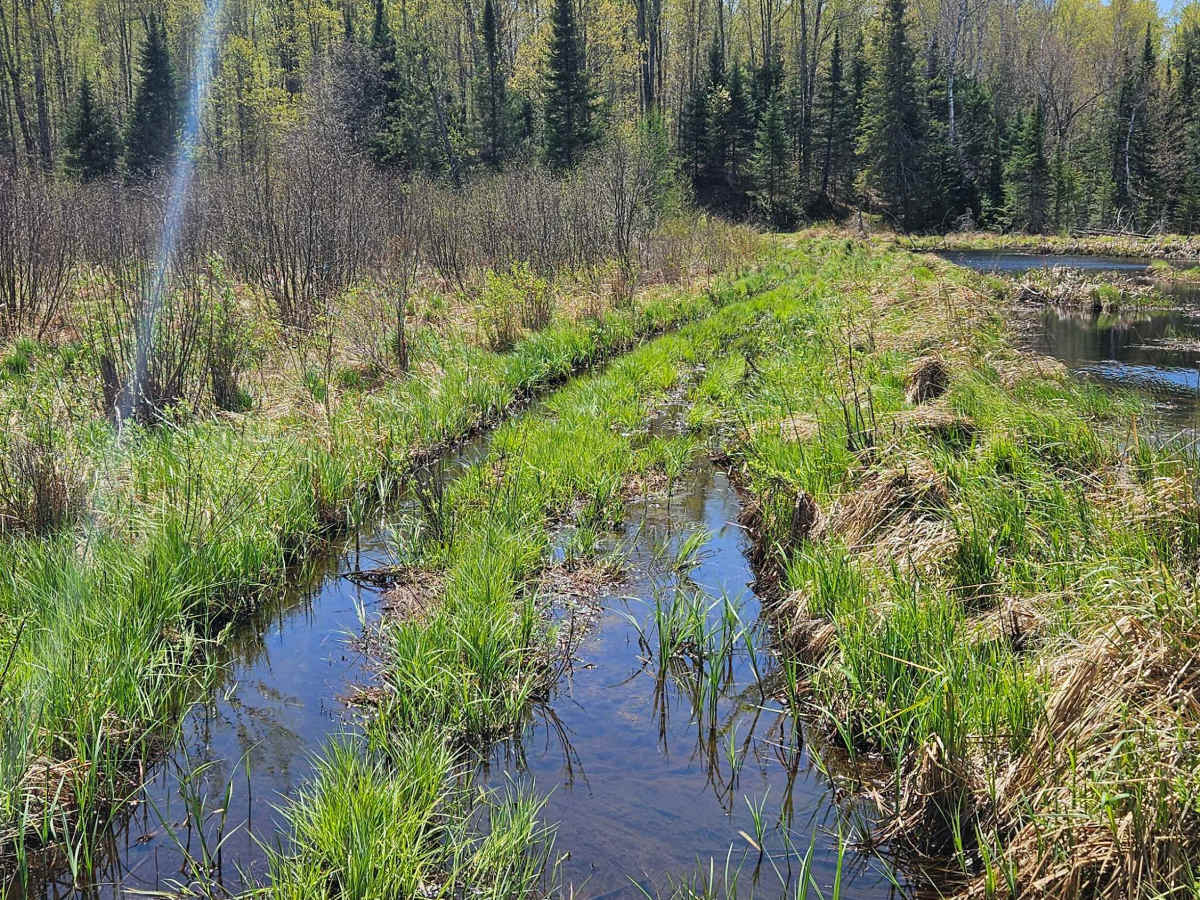 Stoney Creek Loop trail photo