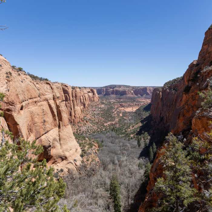 Near Sandal Trail