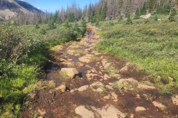 Williams Pass Trail