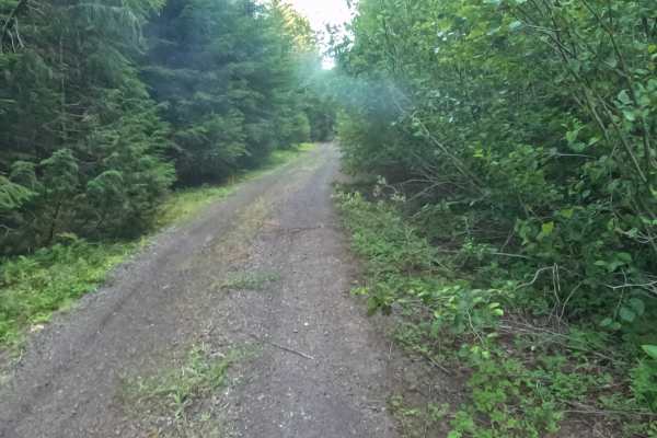 Camp Creek Road - FS 2266-330