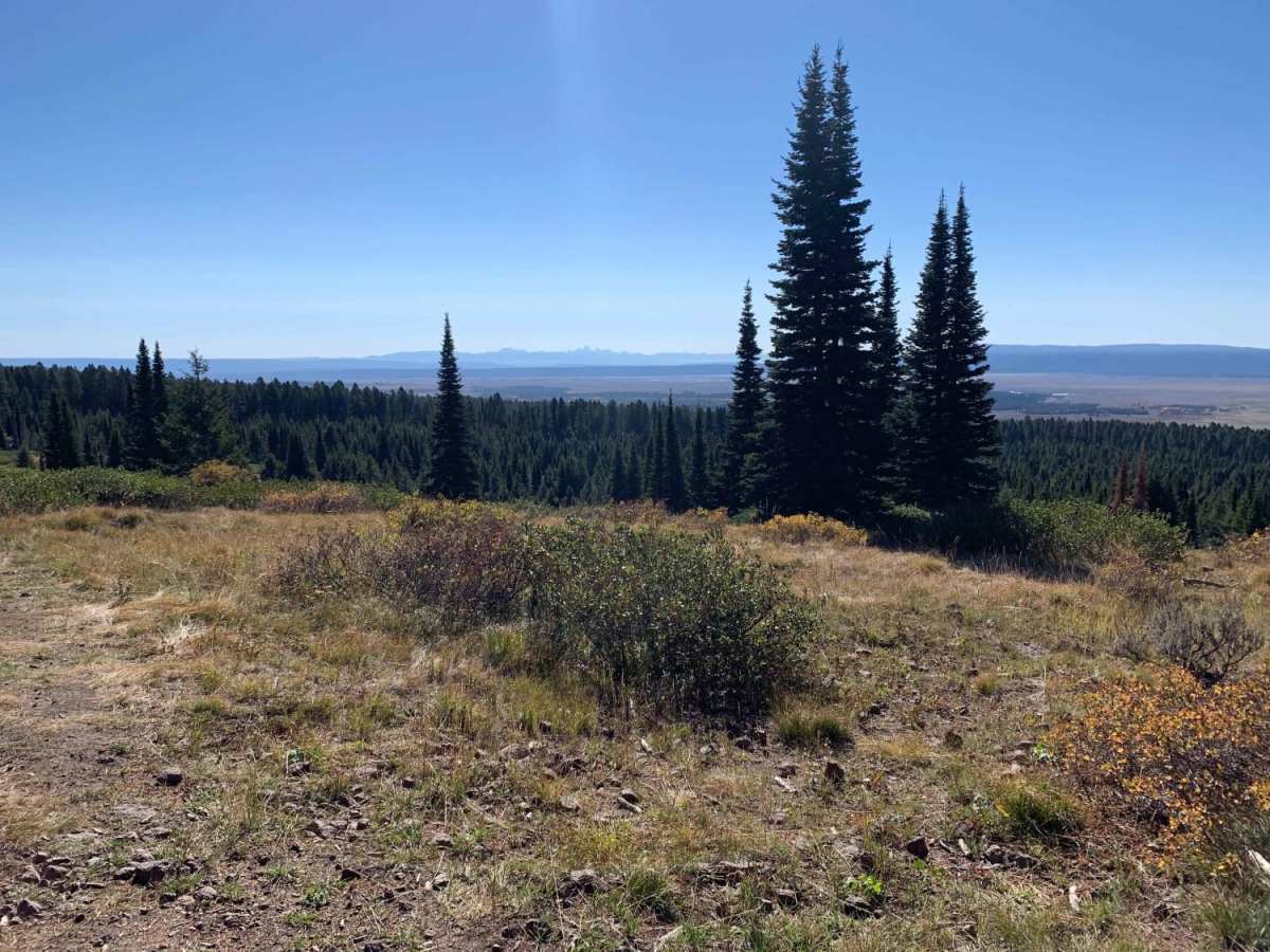 Gravelly Range Road (FS290) (Partial) photo 5