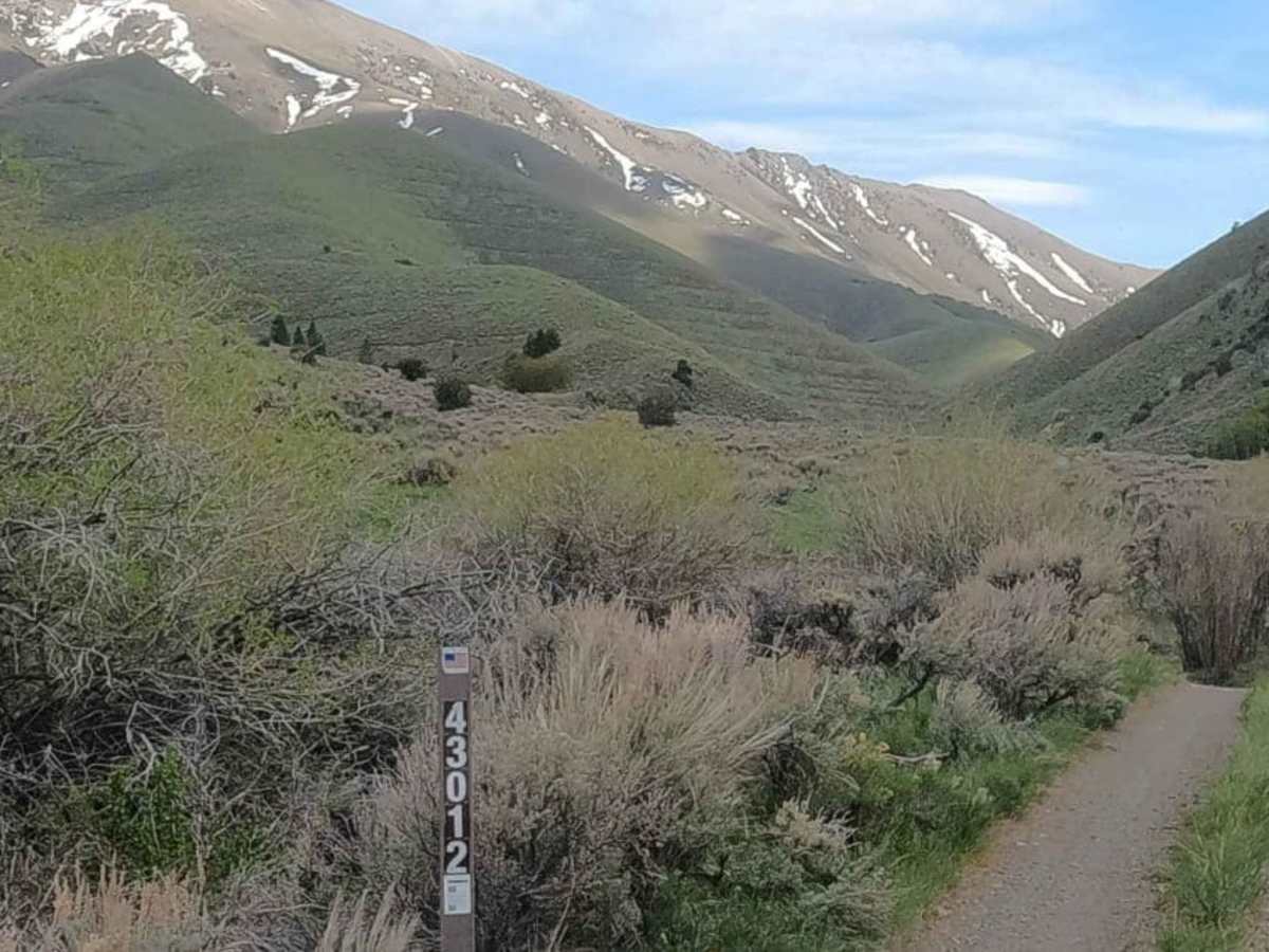 North Fork Big Creek Road - NF43012 photo 2