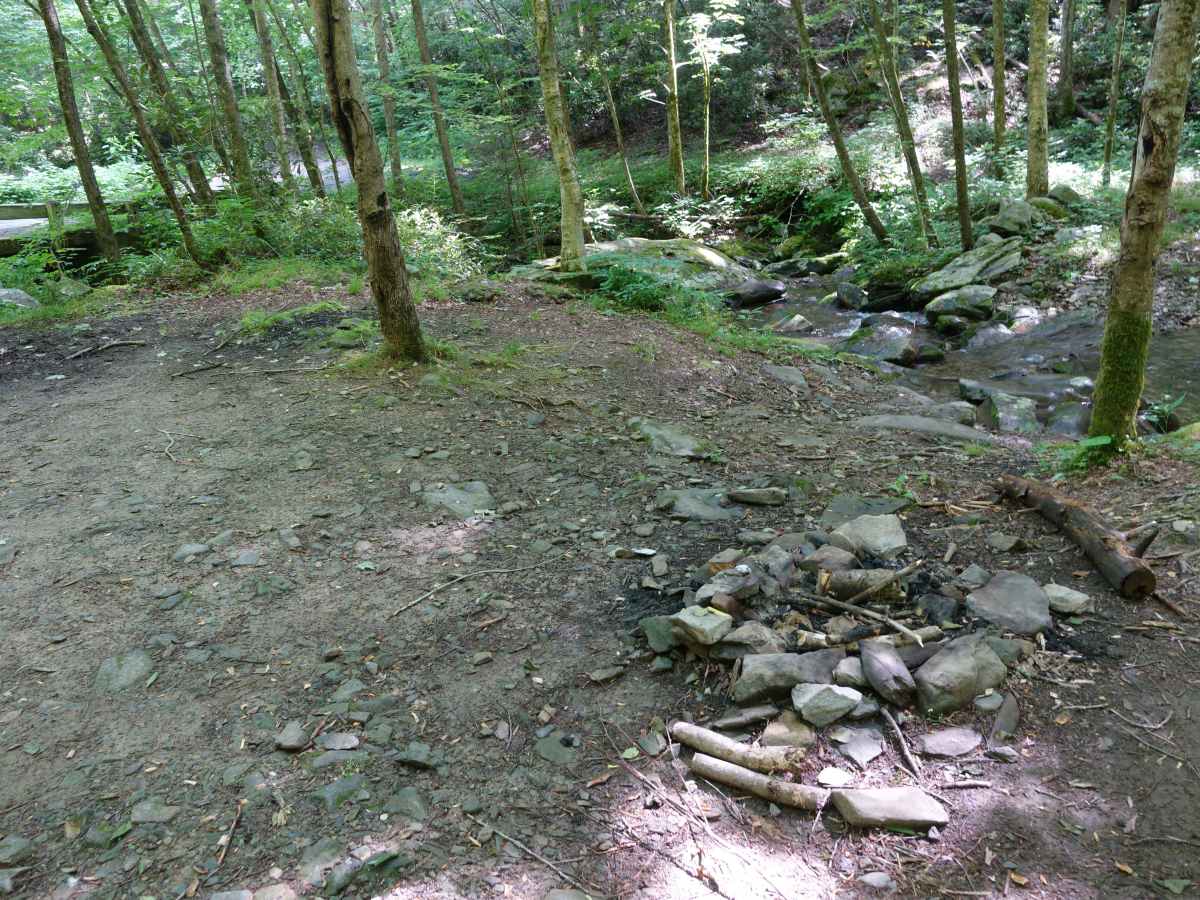 Buzzard Roost Road trail photo