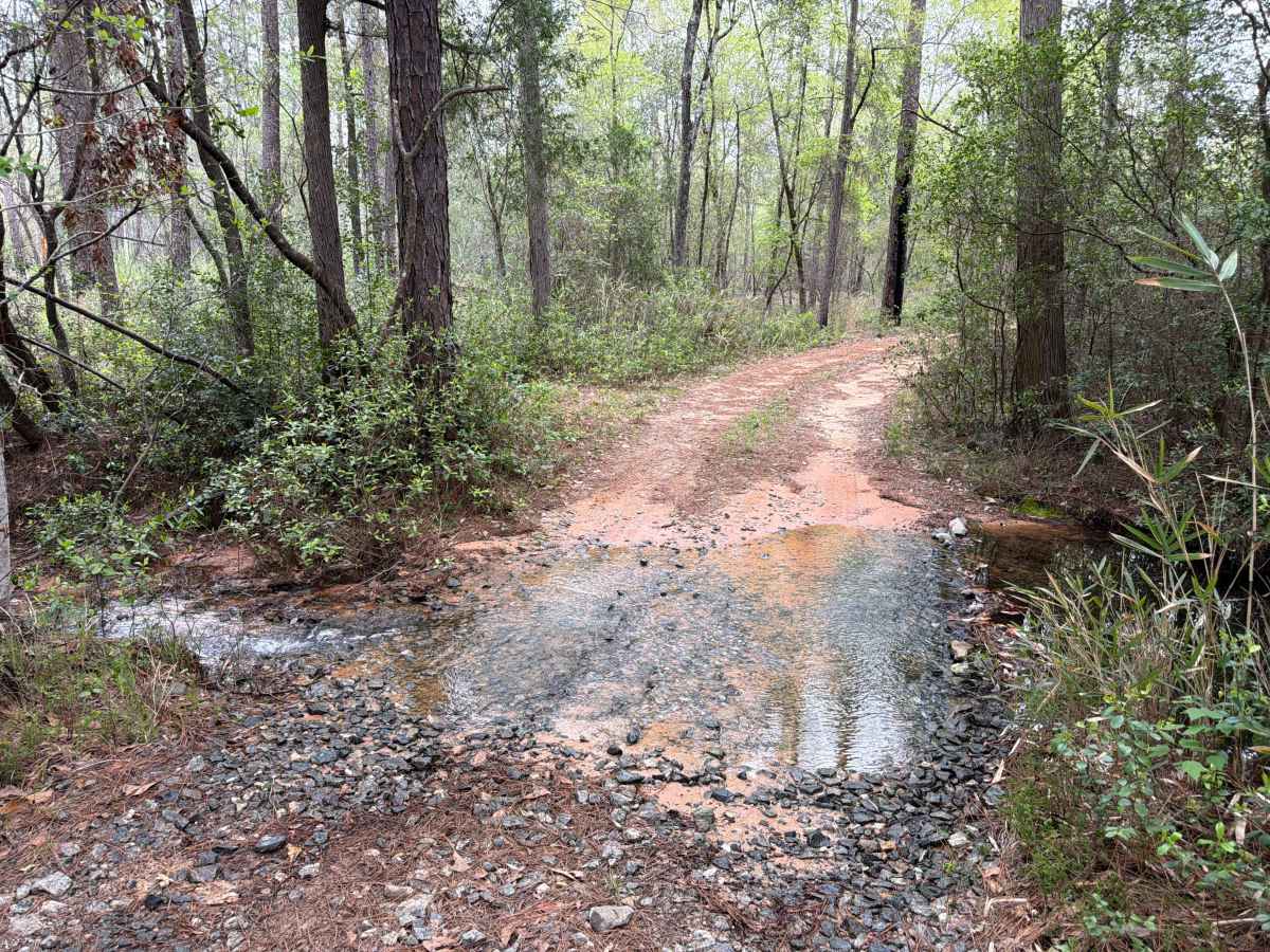 F 34 trail photo