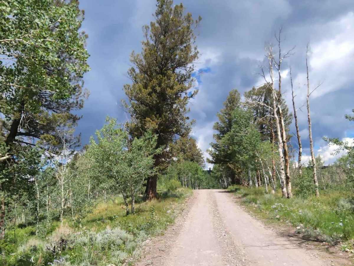 Rainbow Lake Road trail photo