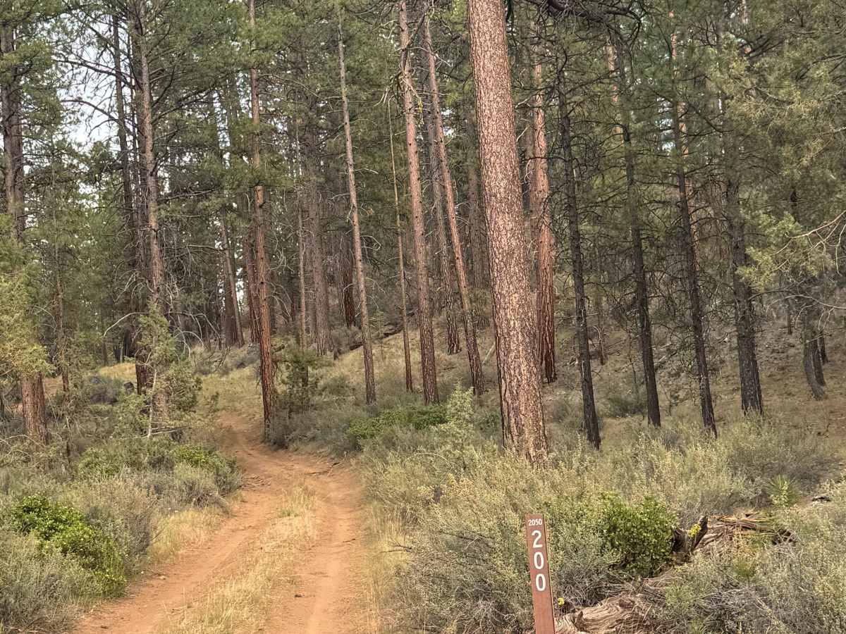 FS 2050-200 trail photo
