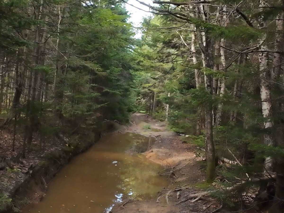 Beaumont North  photo 4