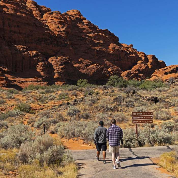 Near Red Sands Trail + Three Ponds Trail