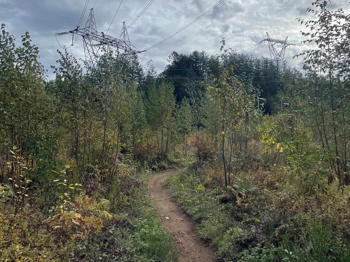 Motocross Track to Rob's Rip Connector photo 5