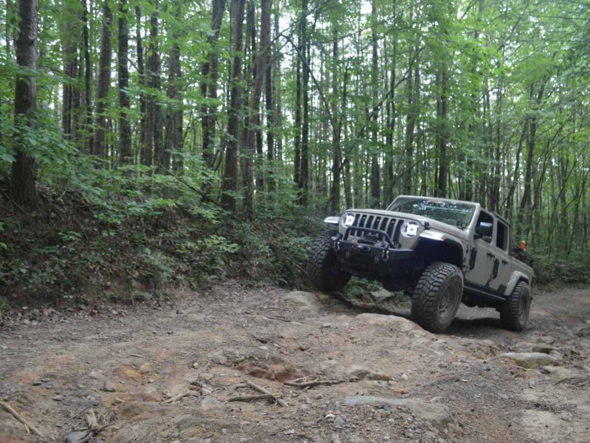 Smith Mountain photo 2