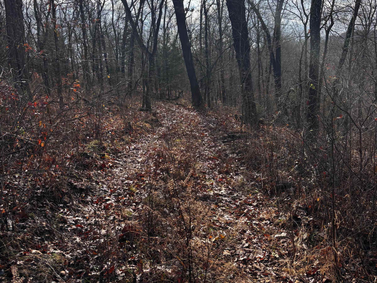 Boo Boo trail photo