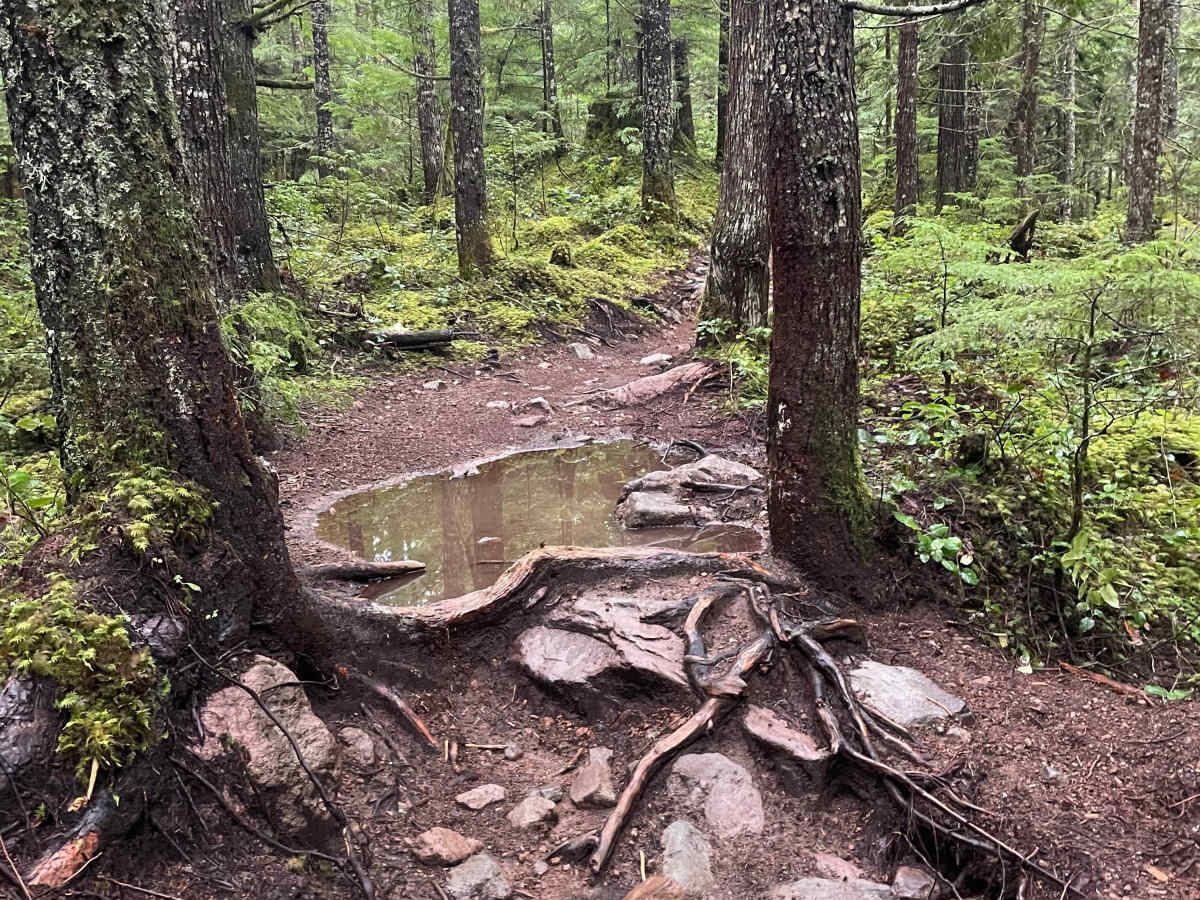 Wray's Way photo 2