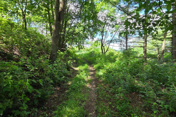 Single Track G
