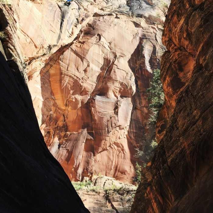 Immerse yourself within these walls on the way to Observation Point. Near Cable Mountain Trail