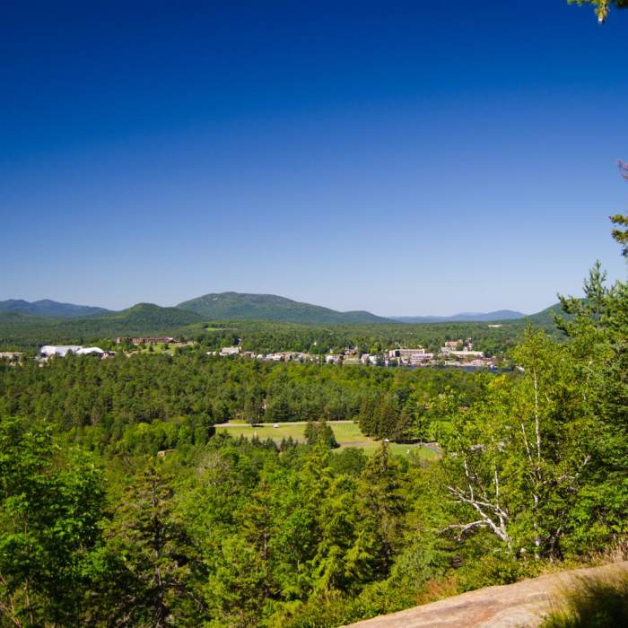 Near Cobble Hill Near Cobble Hill