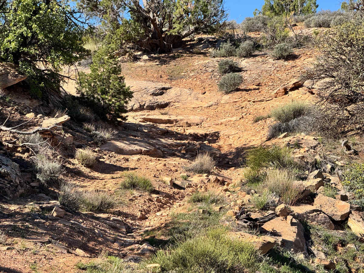 Dome Plateau - BLM 2129 photo 5