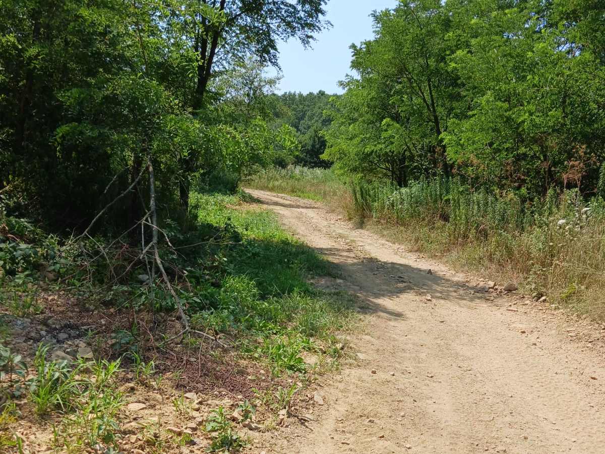 Blue Pipe - Rock Run Recreation Area photo 2