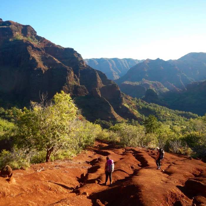 Near Lonomea via the Kukui Trail Near Lonomea via the Kukui Trail
