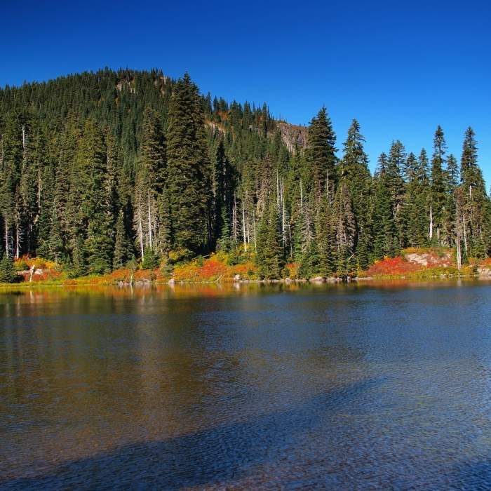 Near Indian Heaven Trail #33