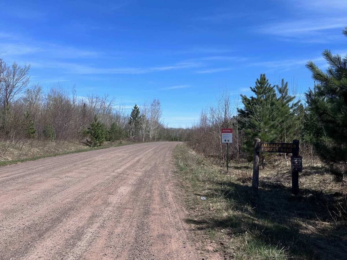Tamarack River Forest Road trail photo