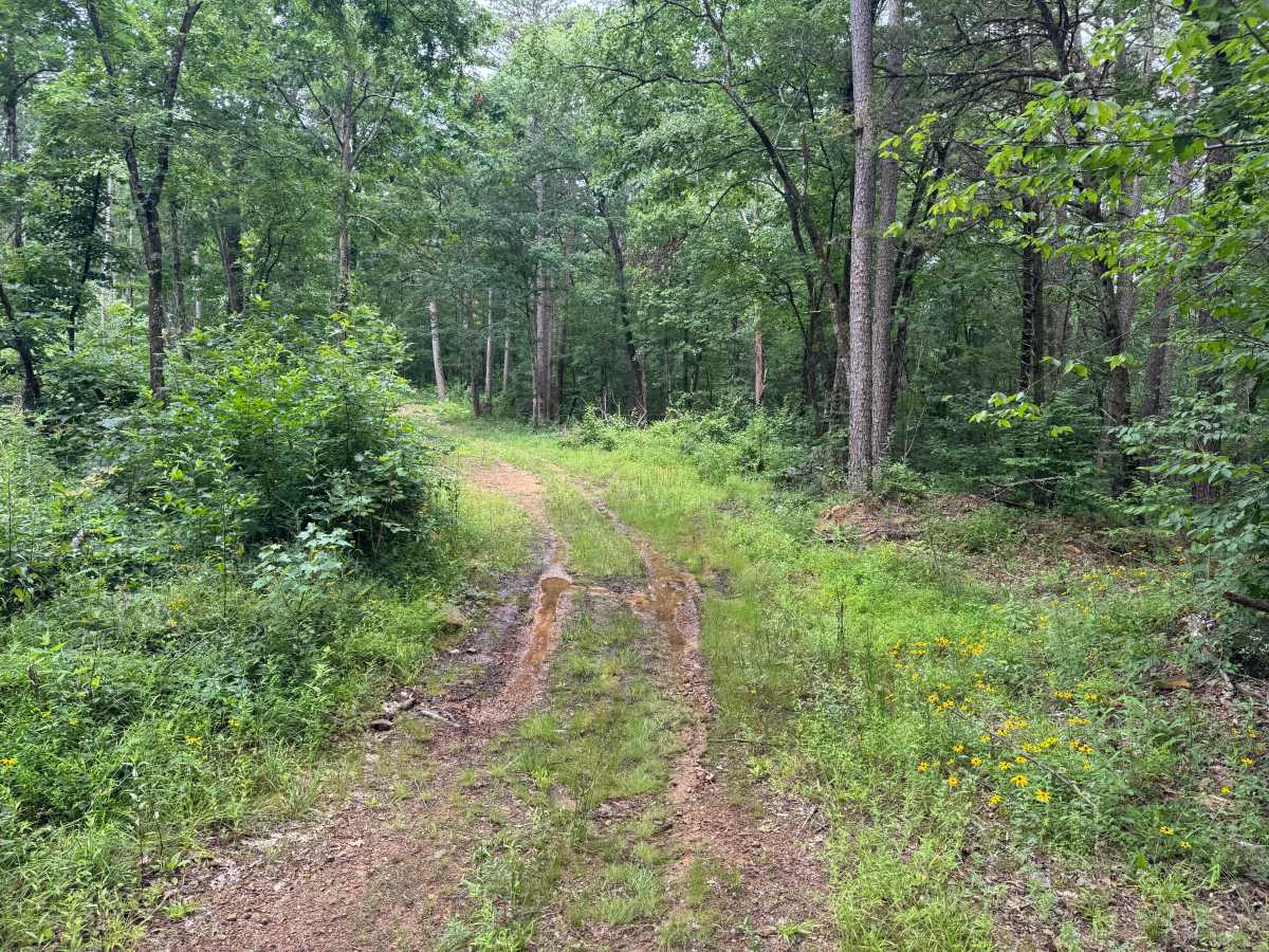 Bigham Road photo 5