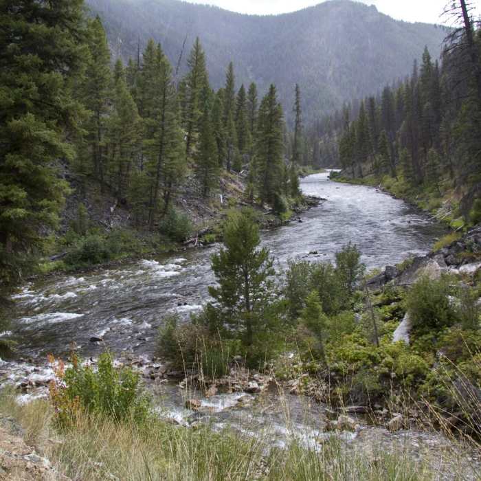 Near Middle Fork of the Salmon River Trail a Day 1