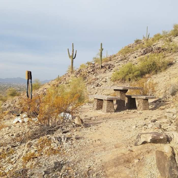 Near Estrella Foothills Loop