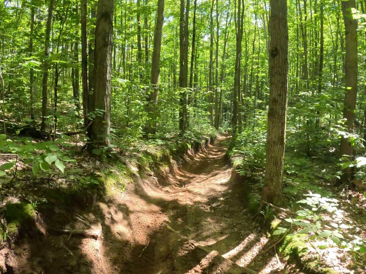 Kalkaska Trial Interconnector photo 4