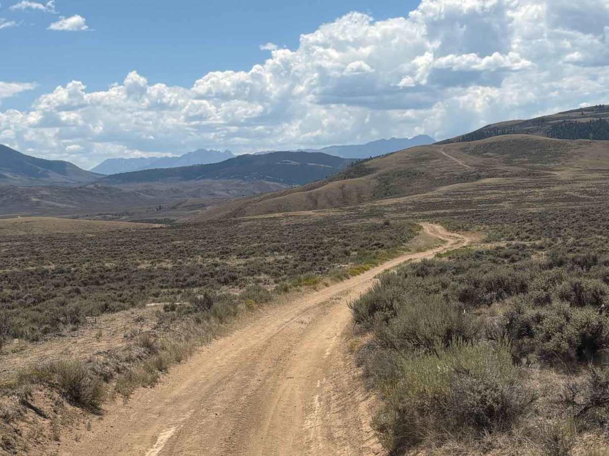 North Red Mountain Trail photo 4