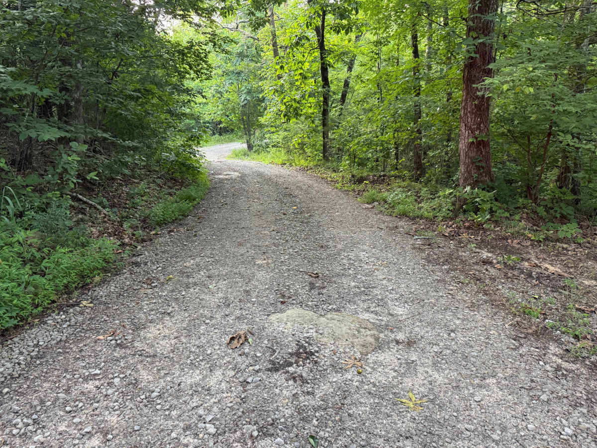 County Road 5501 photo 4