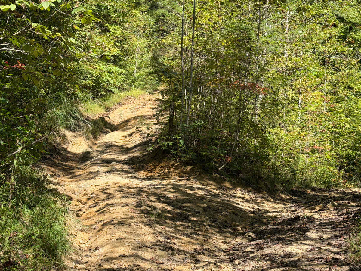 62 trail photo