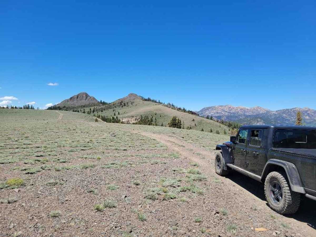 Pickett Peak Road 31053 trail photo