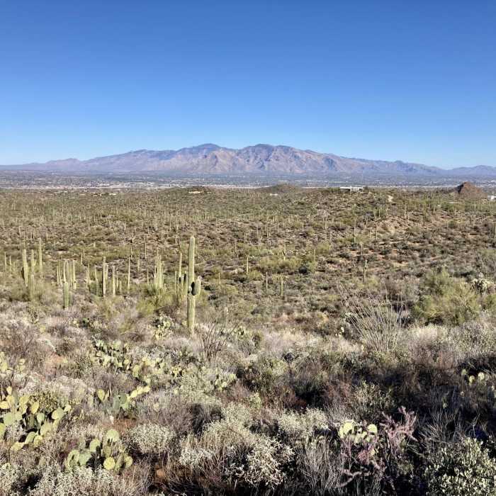 Near Thunderbird Trail