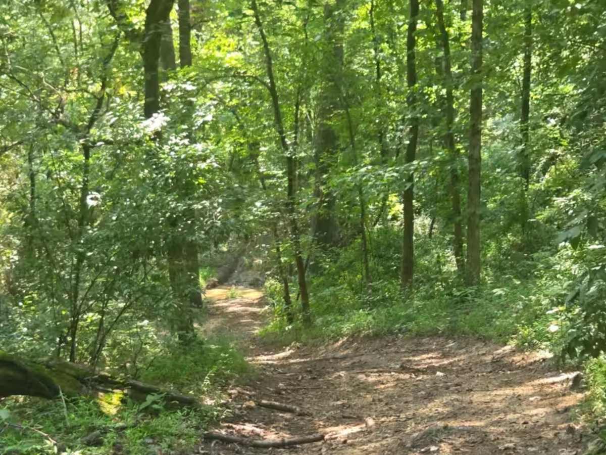 Rock Hill Loop photo 4