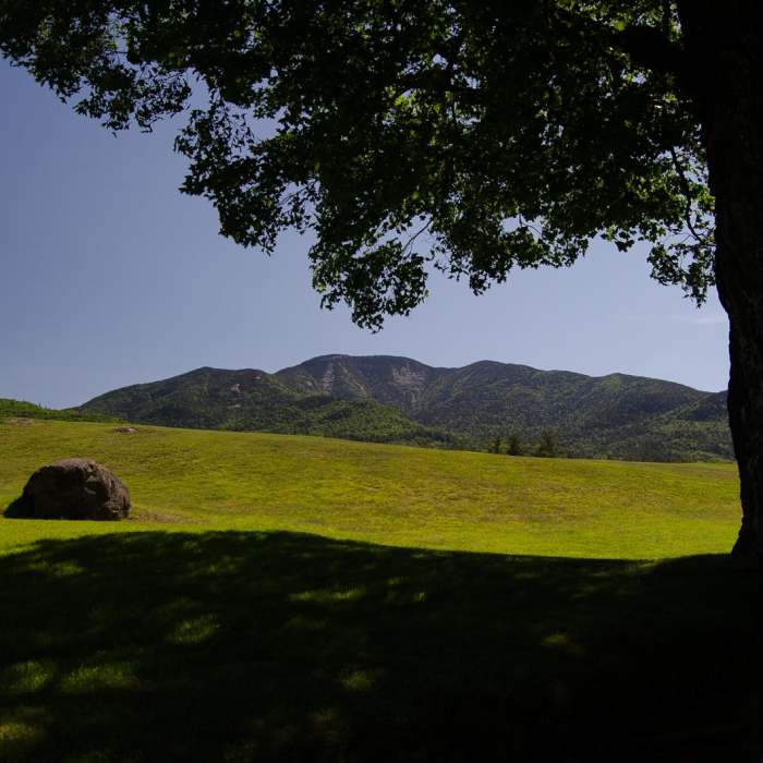 Near Gill Brook Trail