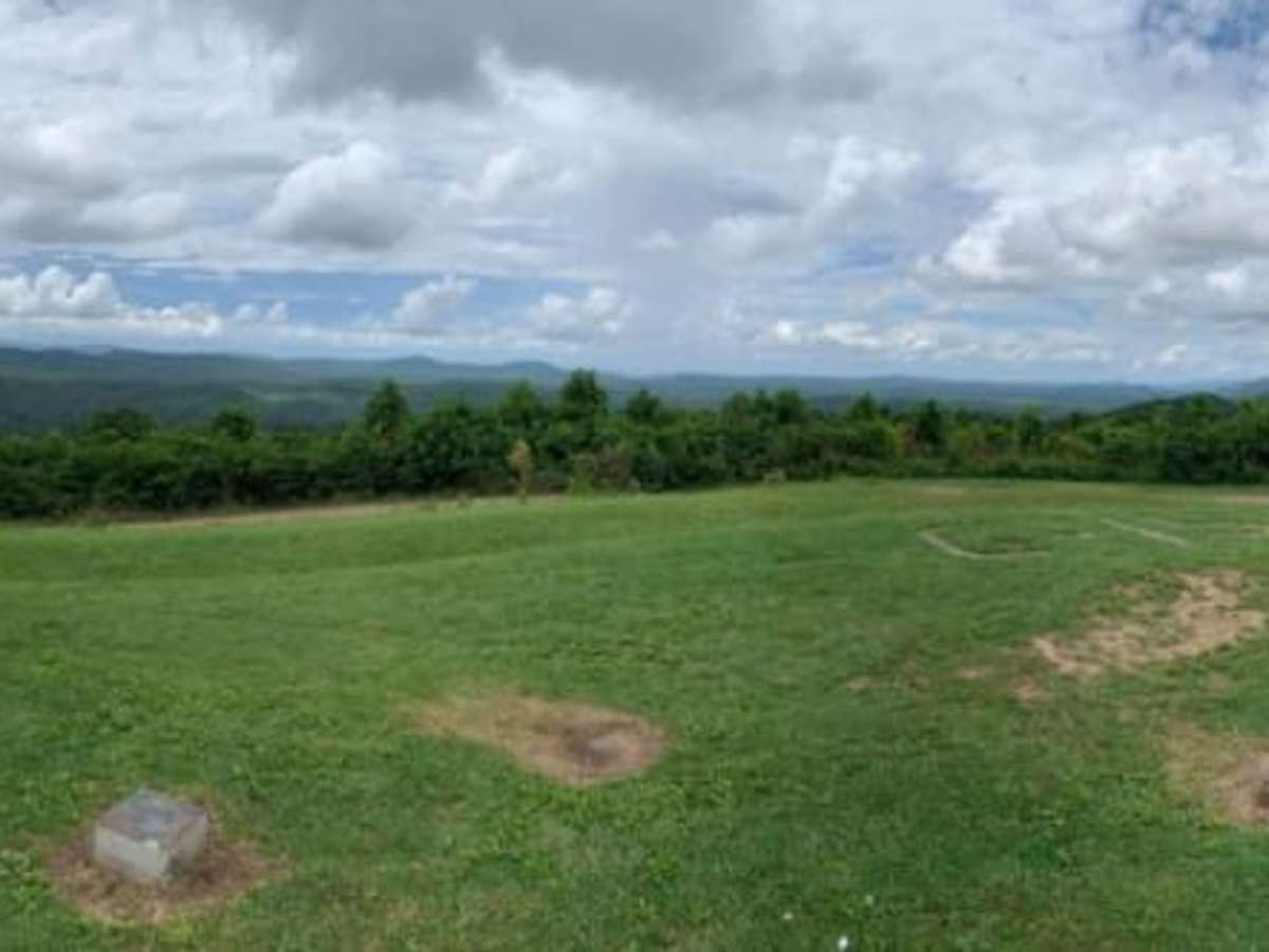 Buck Bald trail photo