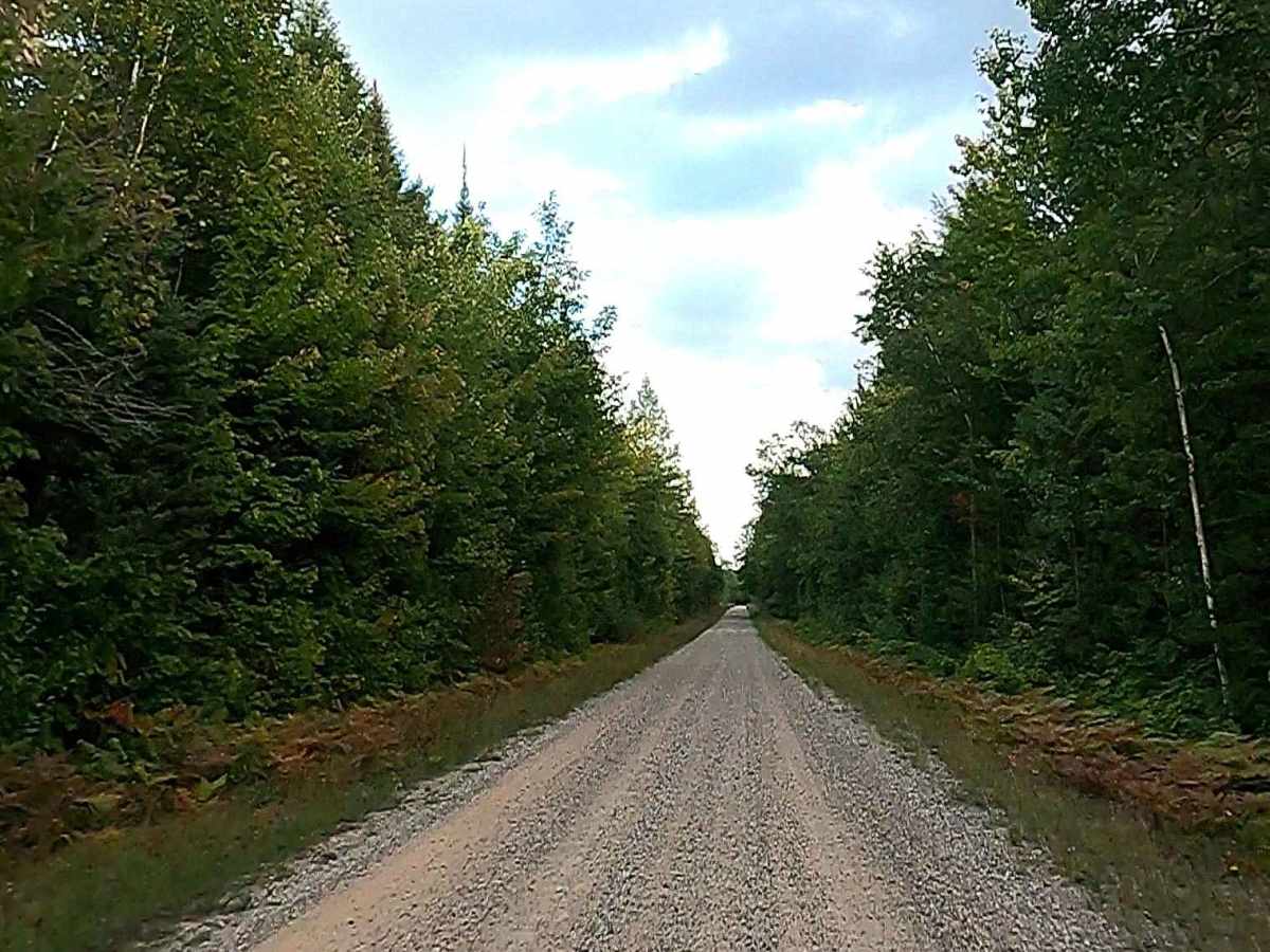 Waishkey River Truck Trail/Road - FS 3352 photo 5