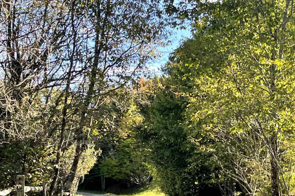 Shawnee Road