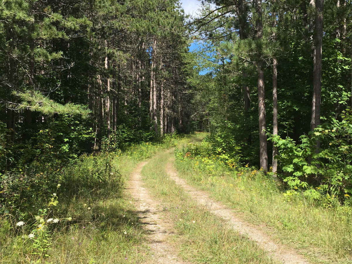 Wolski Road  photo 5