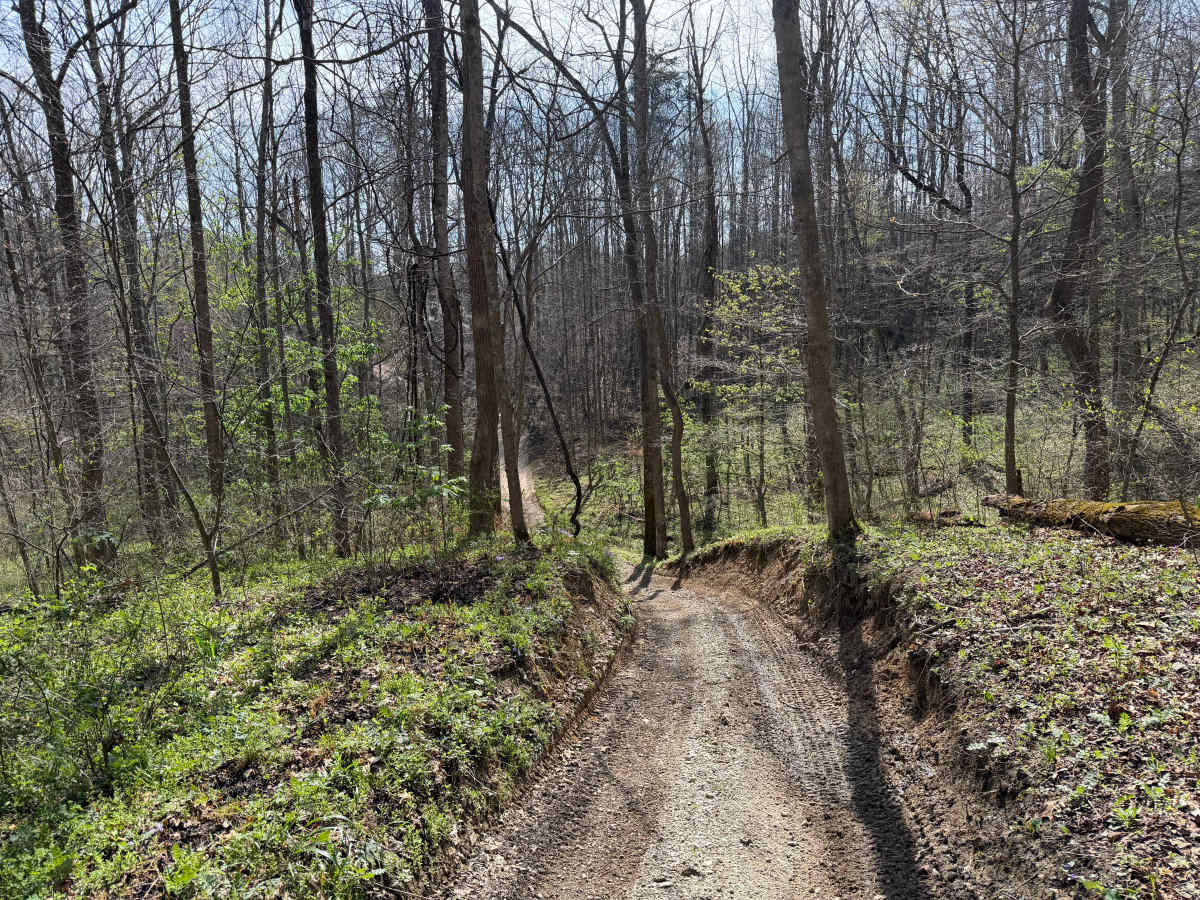Wolcott Trail photo 2