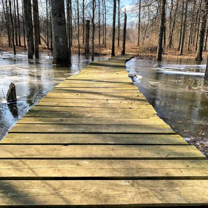 Section of the boardwalk at the east side observation tower Near Lord Stirling Park