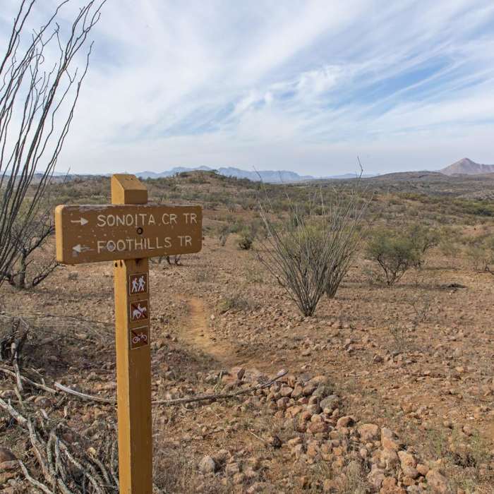 Near Foothills Trail
