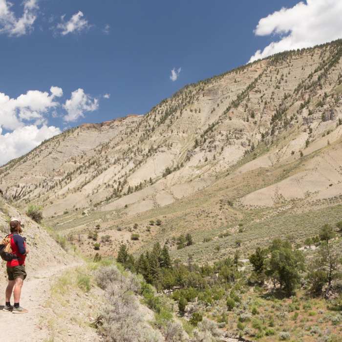 Near Lava Creek Trail