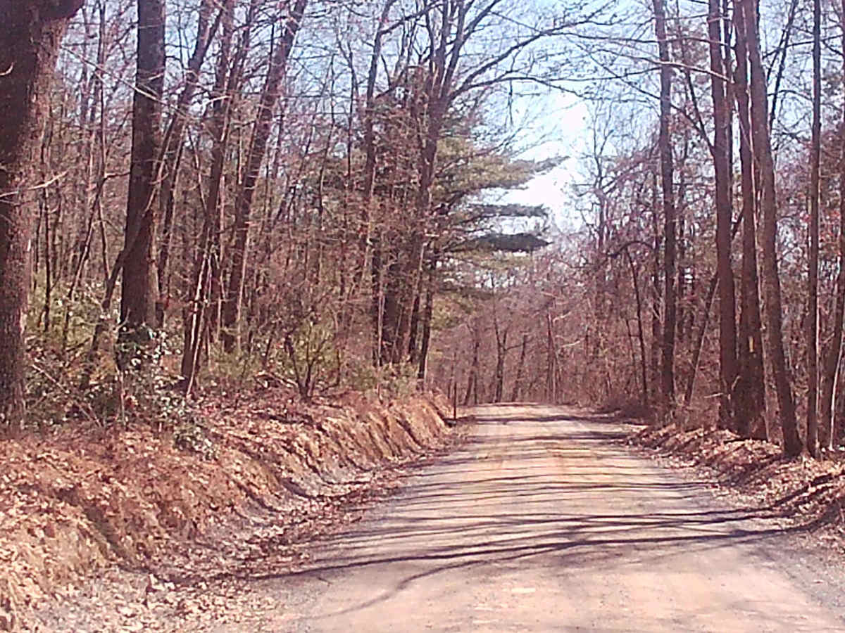 Fox Road photo 2