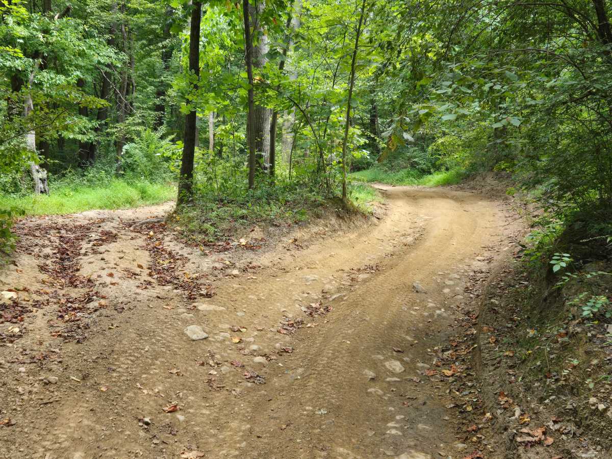 Trail 45 photo 5