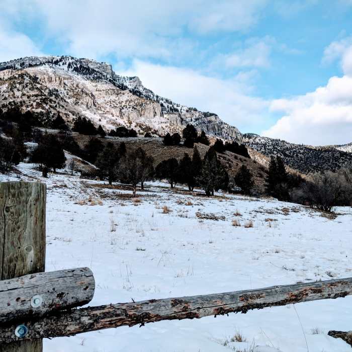 Near Leatham Hollow Trail