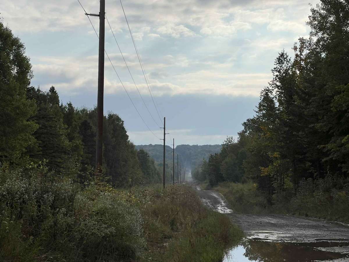 Trail P - Victoria Road photo 3